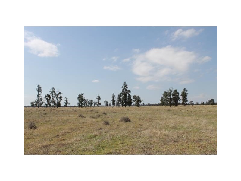 “Old Paddy’s” Tomingley West Road, Tomingley NSW 2869