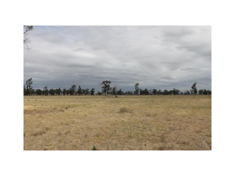 “Old Paddy’s” Tomingley West Road, Tomingley NSW 2869