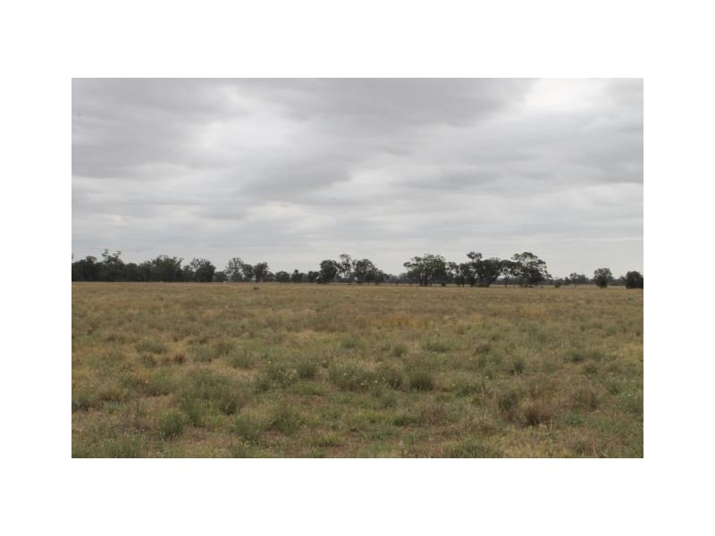 “Old Paddy’s” Tomingley West Road, Tomingley NSW 2869
