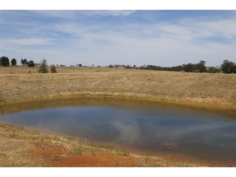 606 Coomobella Road, Geurie NSW 2831