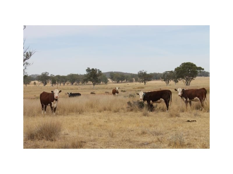 “Cloonawillin” 17R Duffy’s Lane, Dubbo NSW 2830