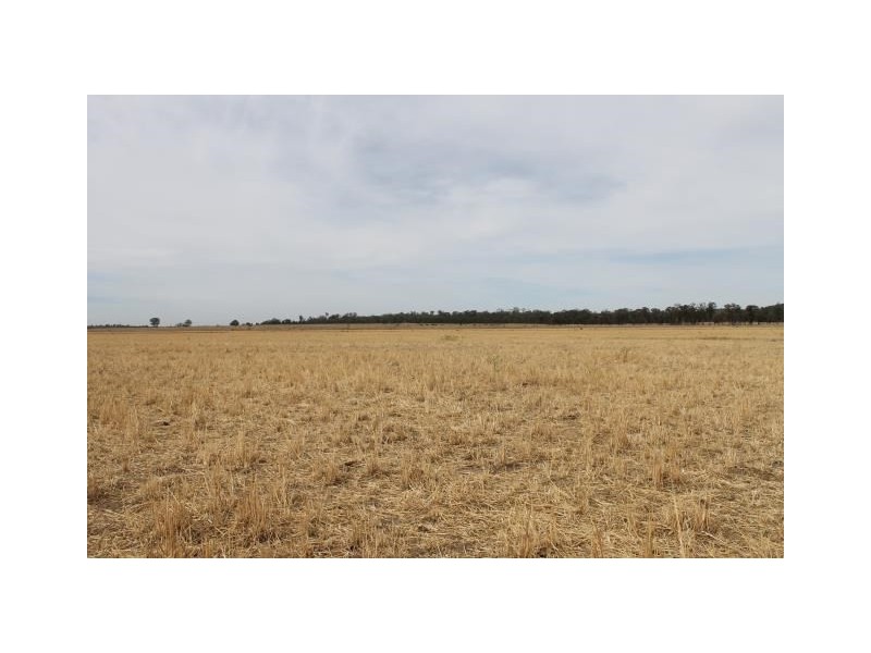 “Cloonawillin” 17R Duffy’s Lane, Dubbo NSW 2830