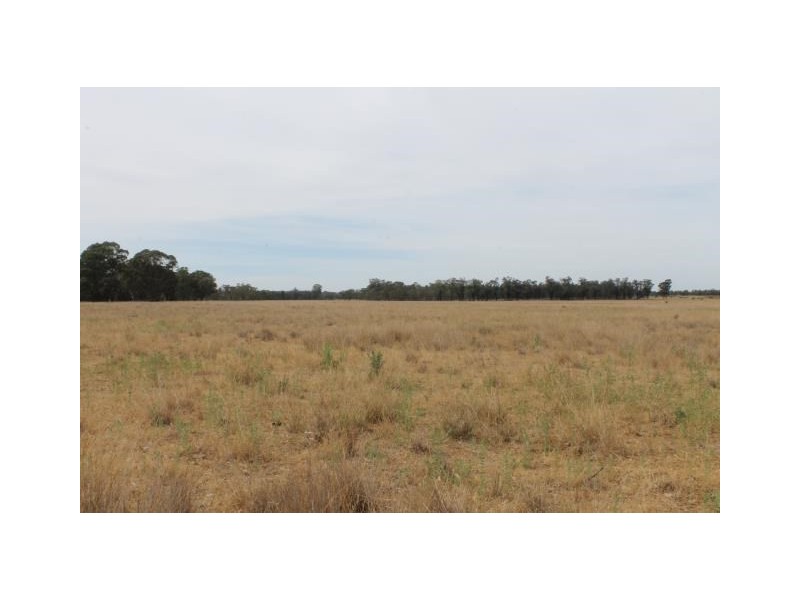 “Cloonawillin” 17R Duffy’s Lane, Dubbo NSW 2830