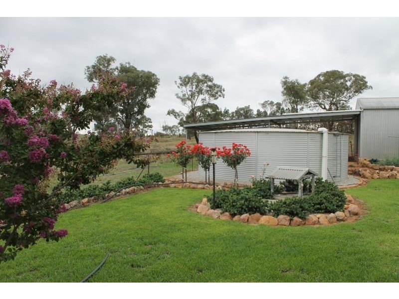 ‘The Block’ 3422 Gundong Road, Yeoval NSW 2868