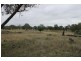 ‘The Block’ 3422 Gundong Road, Yeoval NSW 2868