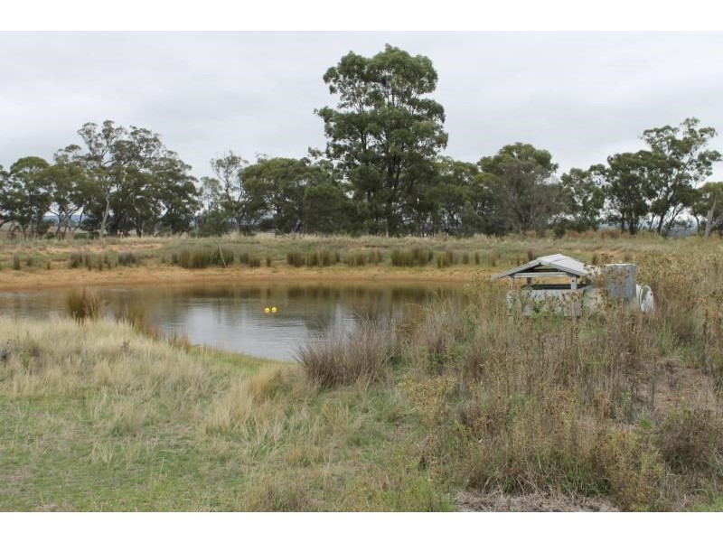 ‘The Block’ 3422 Gundong Road, Yeoval NSW 2868