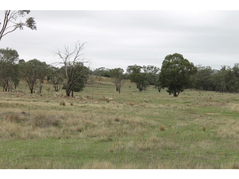 ‘The Block’ 3422 Gundong Road, Yeoval NSW 2868