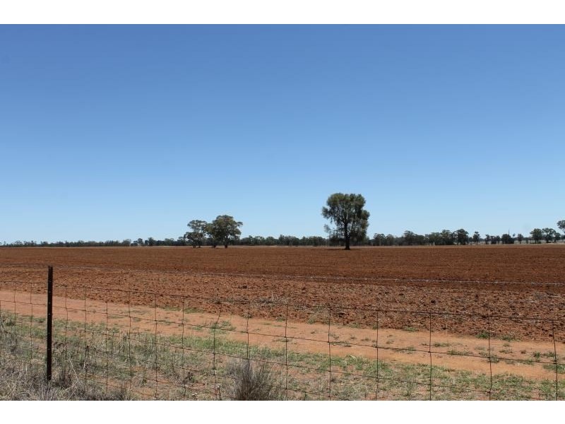 Dubbo NSW 2830