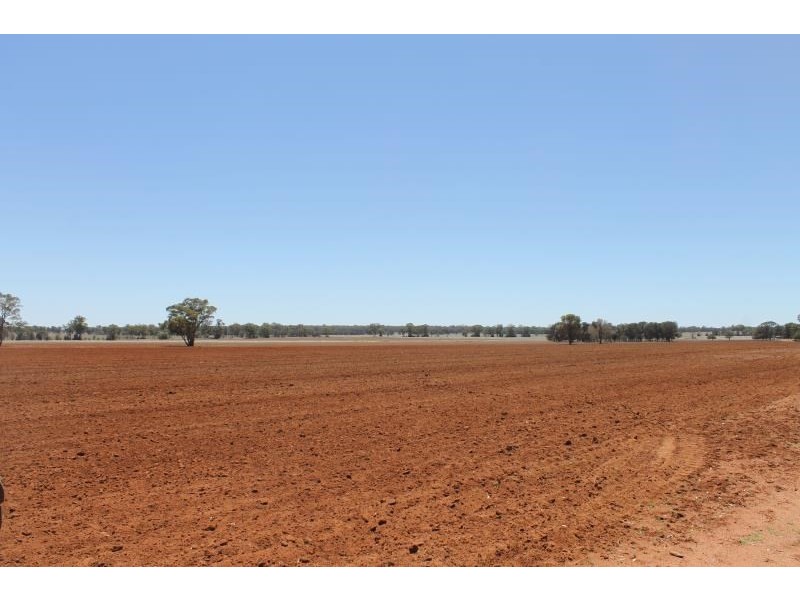 Dubbo NSW 2830