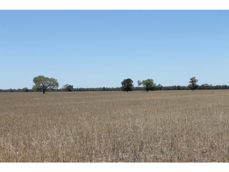 Dubbo NSW 2830