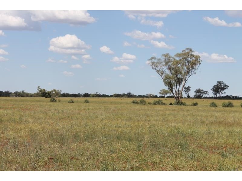 ‘Booroomugga Station’, Cobar NSW 2835