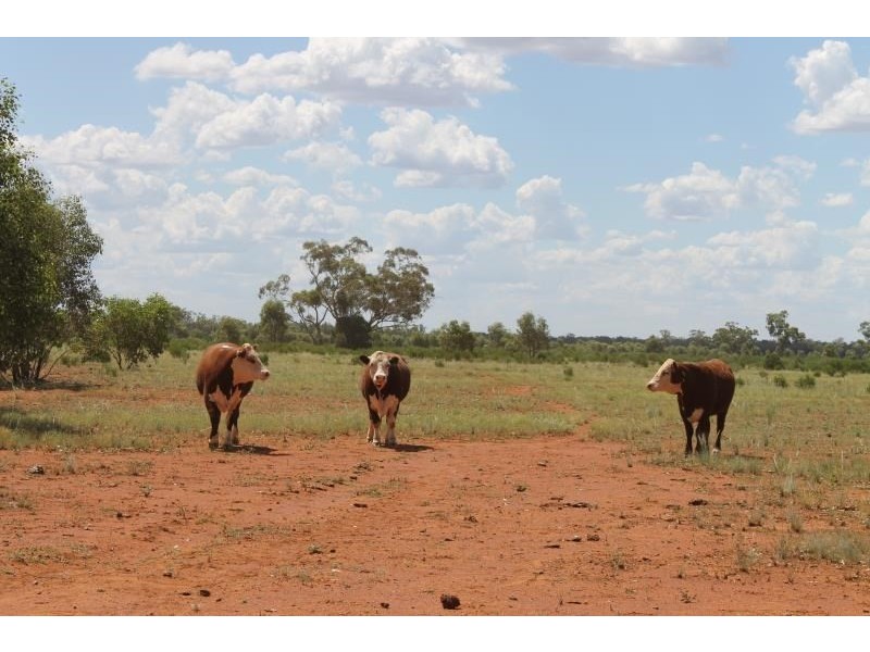 ‘Booroomugga Station’, Cobar NSW 2835