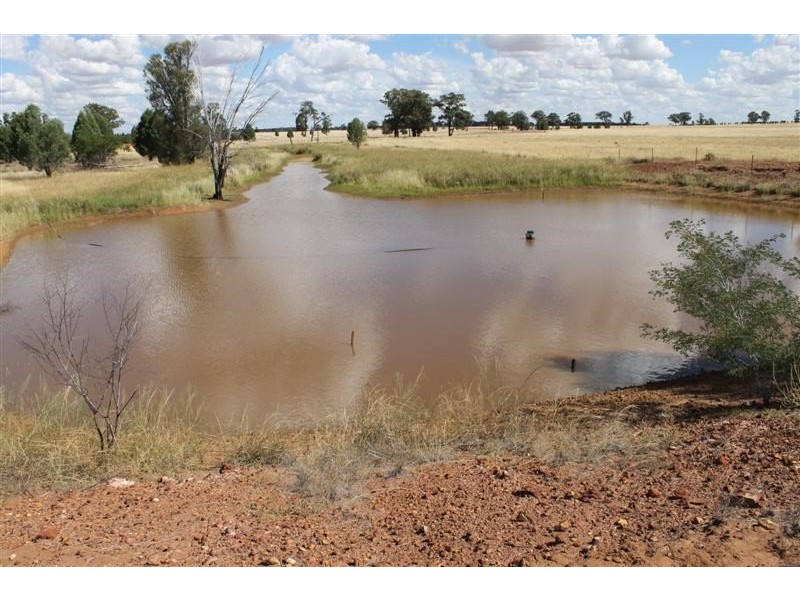 225L Mogriguy Road, Mogriguy NSW 2830