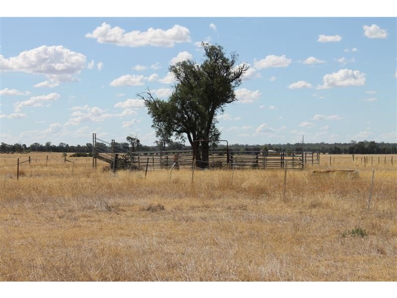 225L Mogriguy Road, Mogriguy NSW 2830