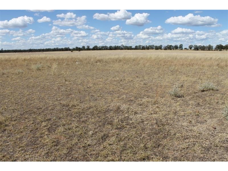 225L Mogriguy Road, Mogriguy NSW 2830