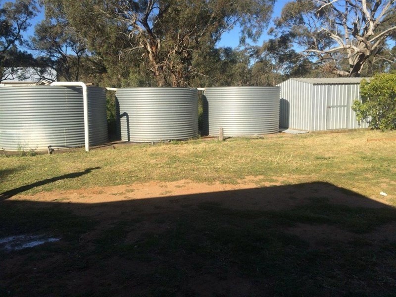 37 Bendeela Street, Elong Elong NSW 2831