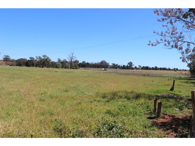 Brocklehurst NSW 2830