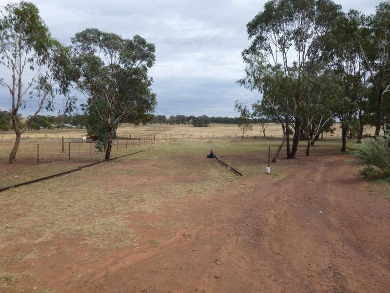 54 Heatherbrae Road, Geurie NSW 2831