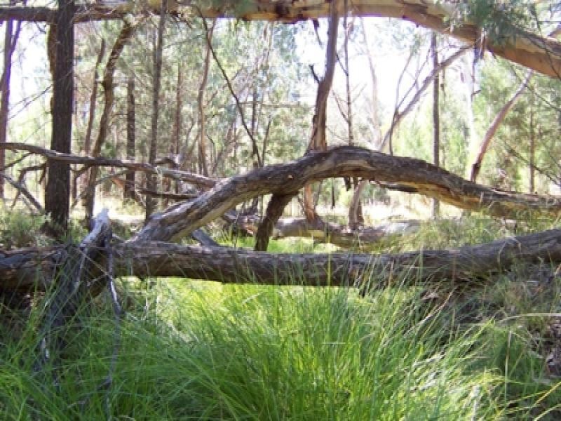 Lot 5 OBLEY Road, Dubbo NSW 2830