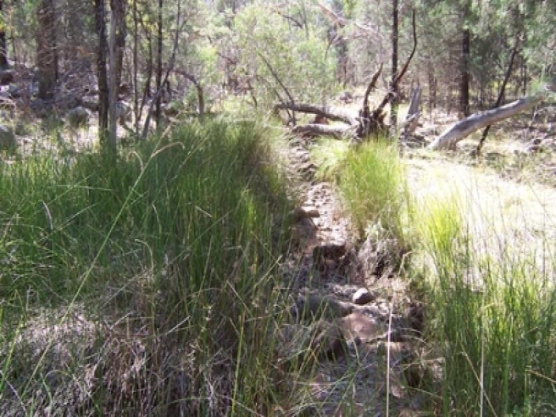 Lot 5 OBLEY Road, Dubbo NSW 2830