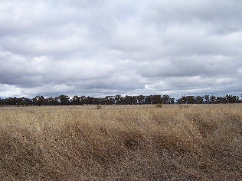 12L DULCIDENE Road, Dubbo NSW 2830
