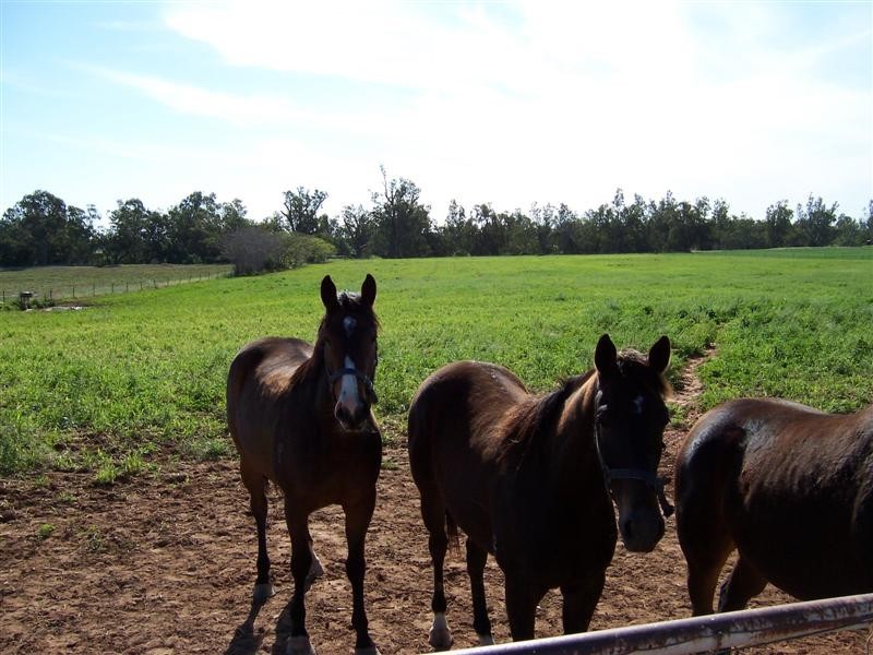 68R Old Dubbo Road, Dubbo NSW 2830