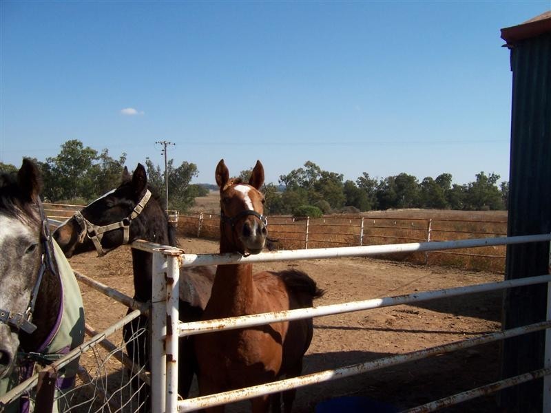 68R Old Dubbo Road, Dubbo NSW 2830