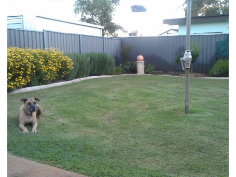 1 Moonah Street, Dubbo NSW 2830