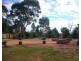 1 Timbara Court, Gilgandra NSW 2827
