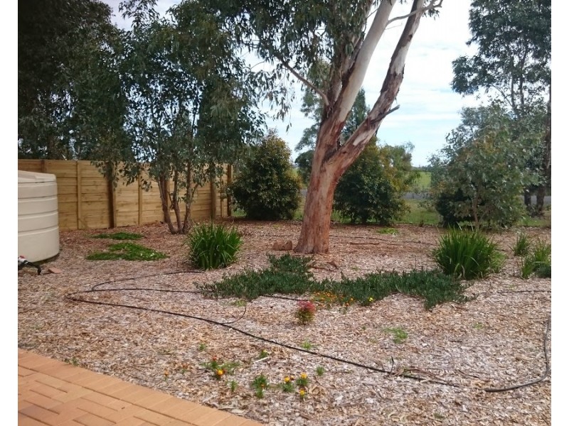 1 Timbara Court, Gilgandra NSW 2827