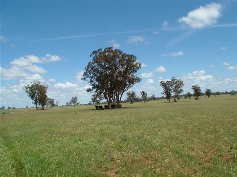 “Bindara” Burraway Road, Narromine NSW 2821