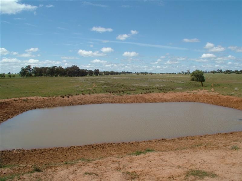 “Bindara” Burraway Road, Narromine NSW 2821