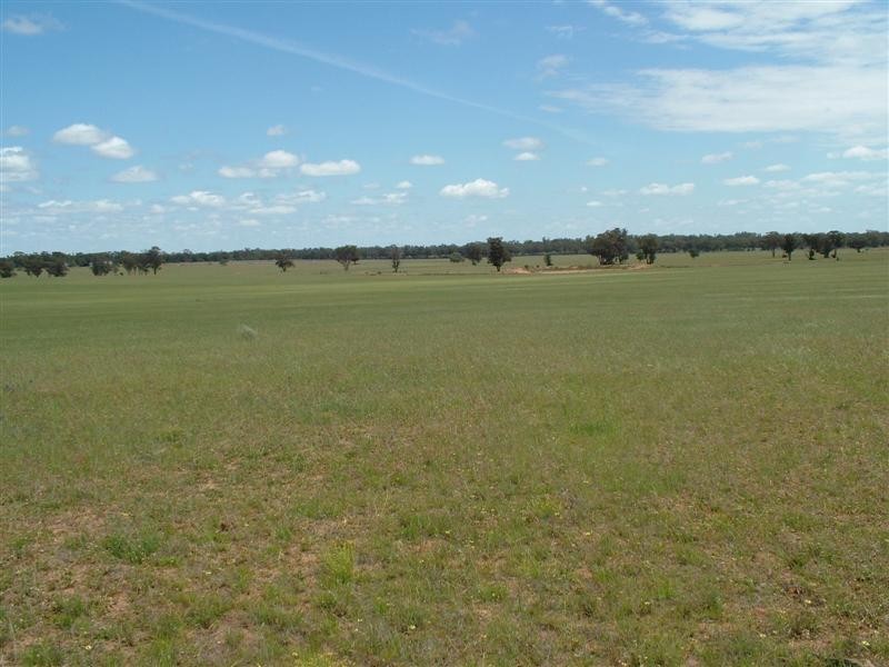 “Bindara” Burraway Road, Narromine NSW 2821