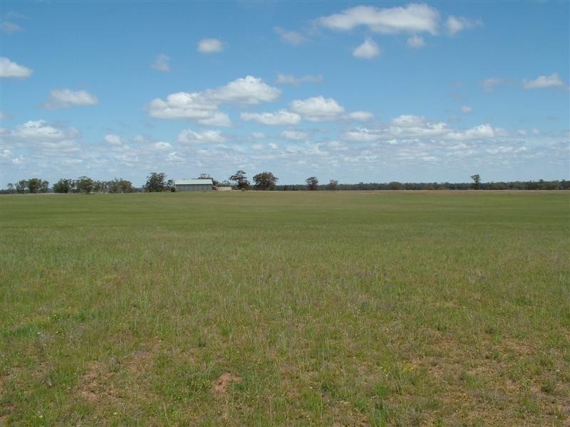 “Bindara” Burraway Road, Narromine NSW 2821