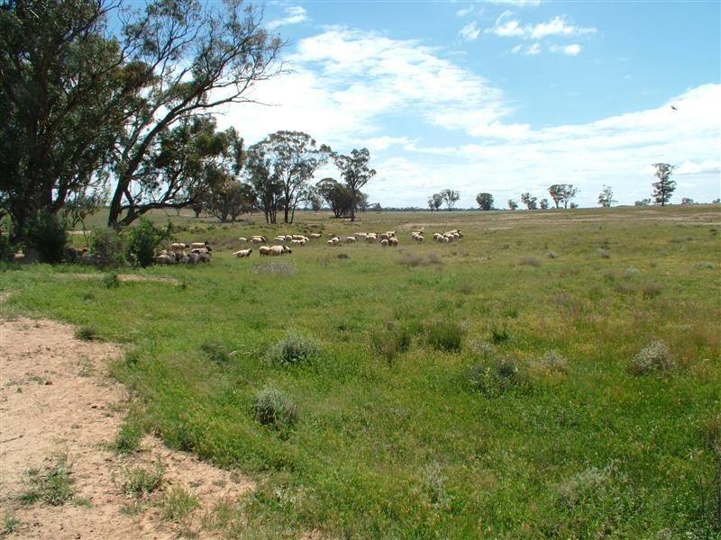 “Bindara” Burraway Road, Narromine NSW 2821