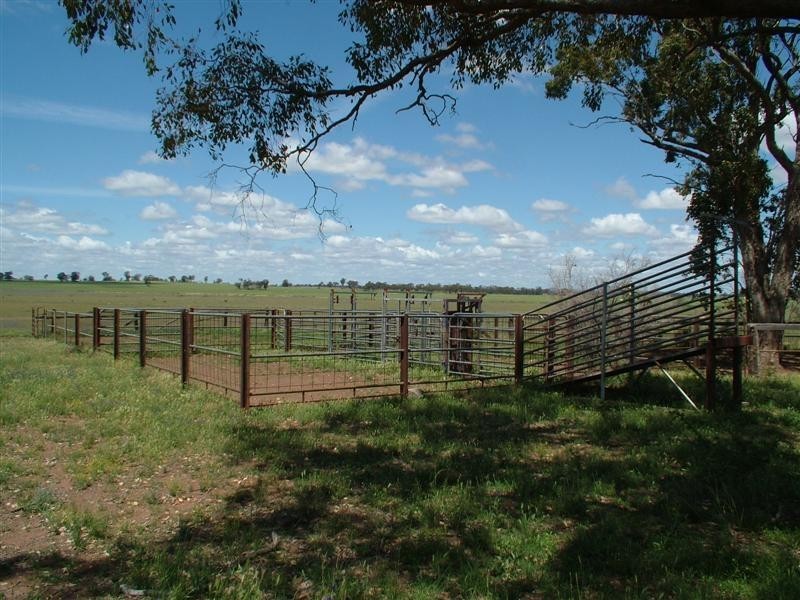 “Bindara” Burraway Road, Narromine NSW 2821