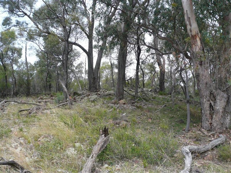 385R Obley Road, Dubbo NSW 2830