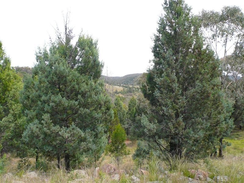 385R Obley Road, Dubbo NSW 2830