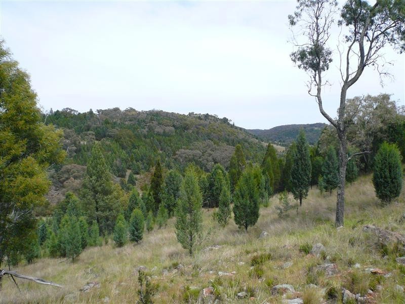 385R Obley Road, Dubbo NSW 2830