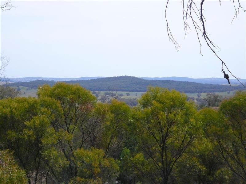 385R Obley Road, Dubbo NSW 2830