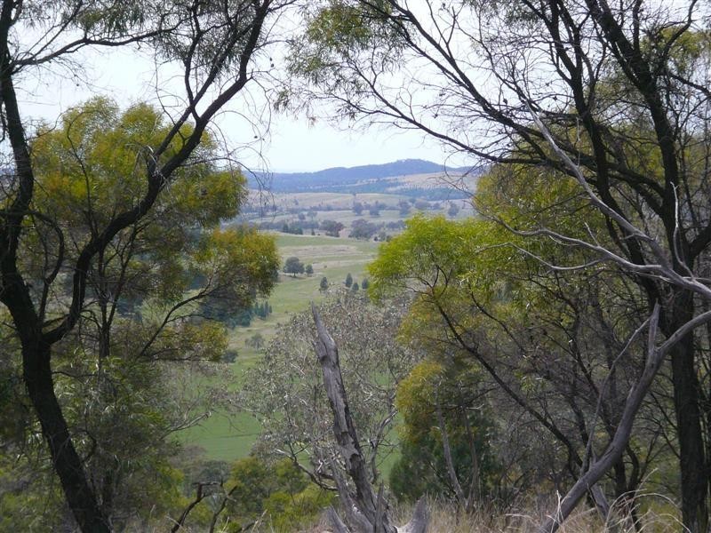 385R Obley Road, Dubbo NSW 2830