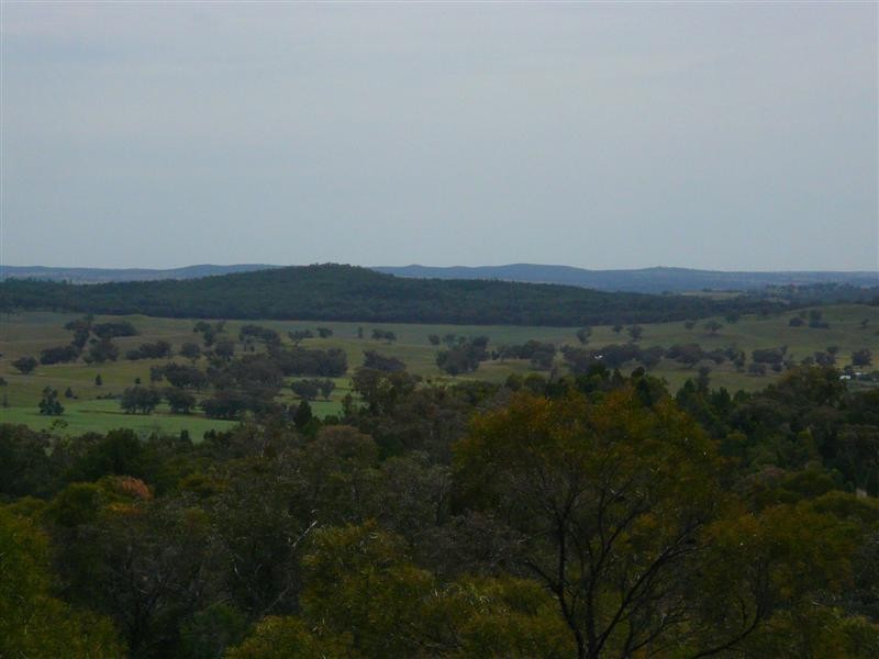 385R Obley Road, Dubbo NSW 2830