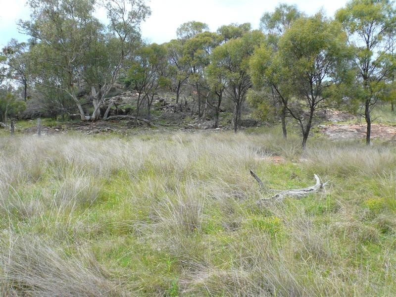 385R Obley Road, Dubbo NSW 2830