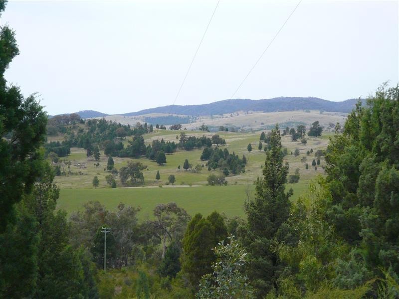 385R Obley Road, Dubbo NSW 2830