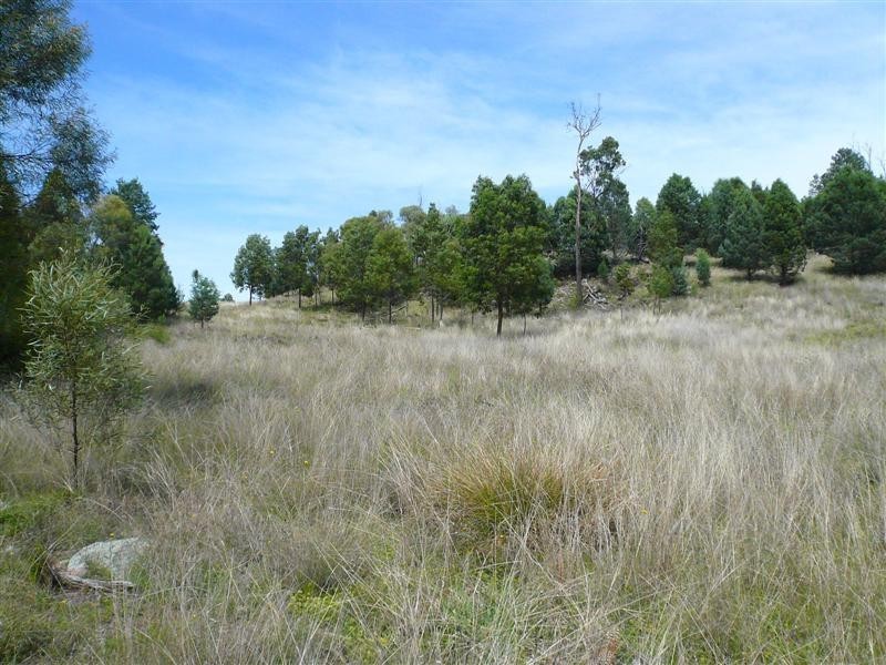 385R Obley Road, Dubbo NSW 2830