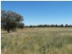 Lot 105 Whitewood Road, Dubbo NSW 2830