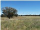 Lot 105 Whitewood Road, Dubbo NSW 2830