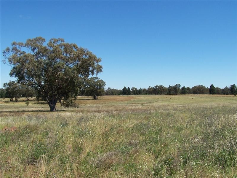 Lot 105 Whitewood Road, Dubbo NSW 2830