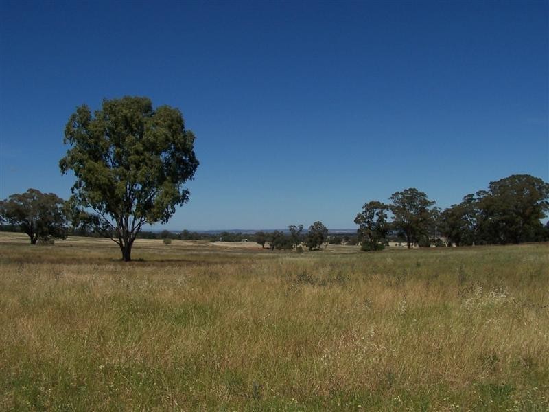 Lot 105 Whitewood Road, Dubbo NSW 2830