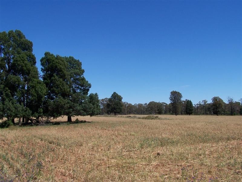 Lot 105 Whitewood Road, Dubbo NSW 2830